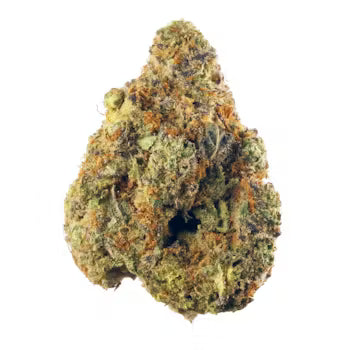 THCv Blüten Amnesia 40% - PREMIUM
