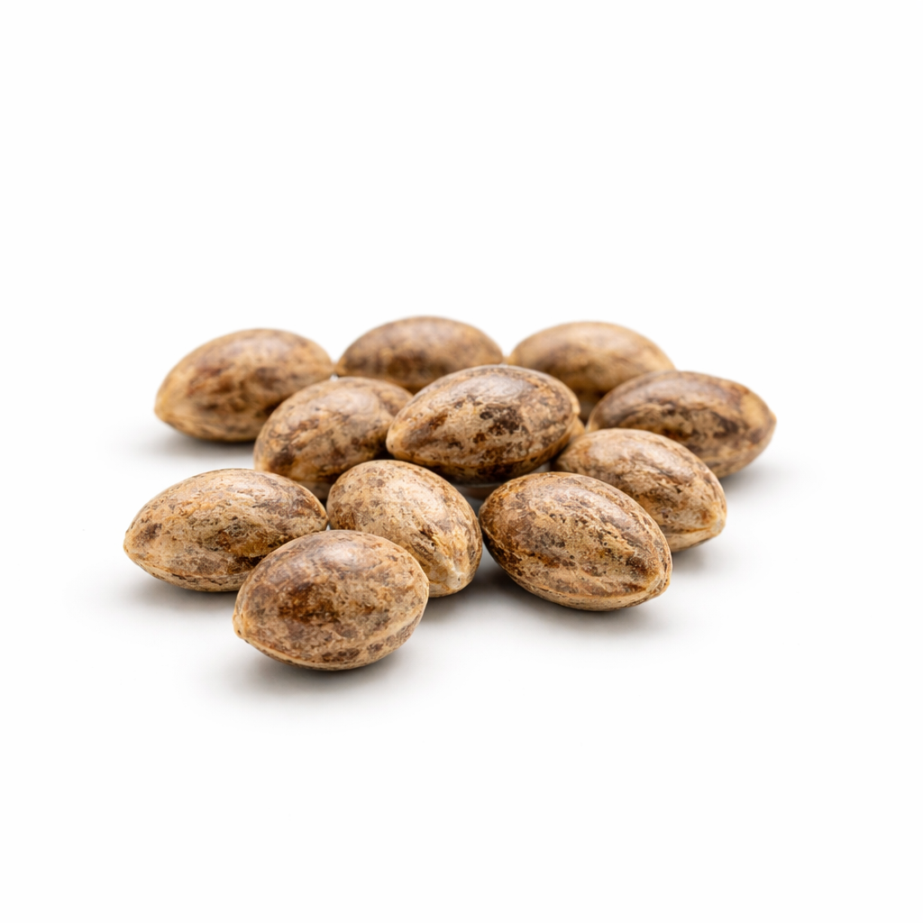 THC-Seeds